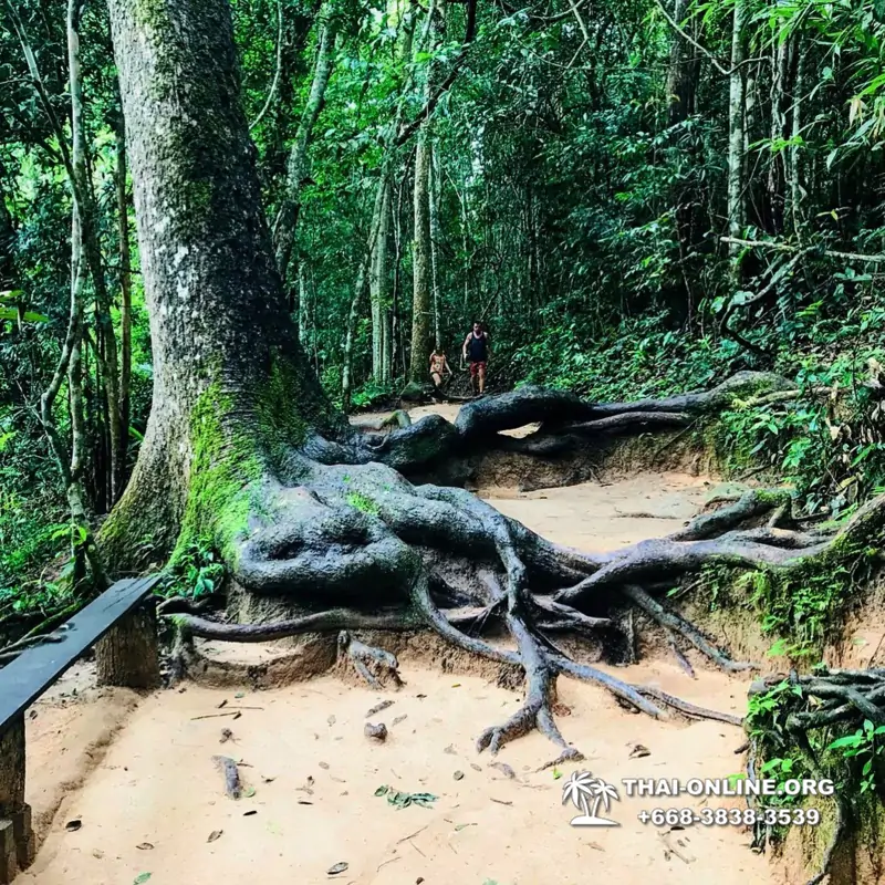 Край Водопадов Кхао Яй экскурсия в Тайланде - фото 18