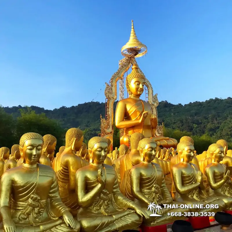 Однодневная новая авторская экскурсия турагентства Magic Thai Online из Паттайи и Бангкока в нацпарк Кхао Яй, провинция Накхон Найок в Тайланде - фото 82