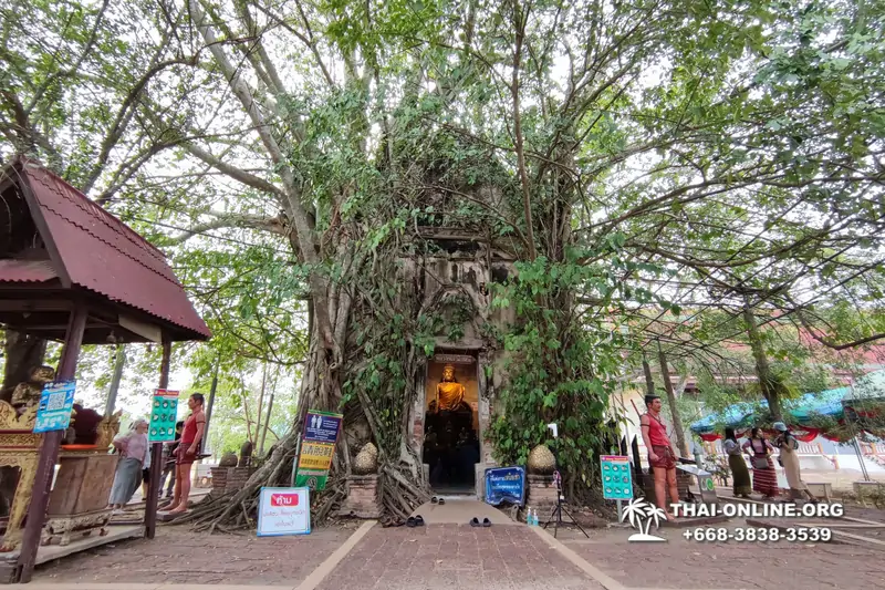 Экскурсия Пять Чудес из Бангкока и Паттайи с туркомпанией Magic Thai Online - фото 14