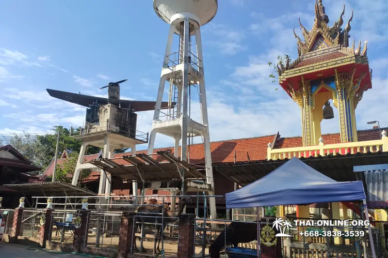Экскурсия Пять Чудес из Бангкока и Паттайи с туркомпанией Magic Thai Online - фото 54