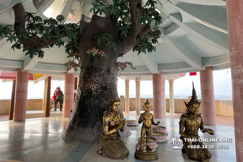 Экскурсия Пять Чудес из Бангкока и Паттайи с туркомпанией Magic Thai Online - фото 67