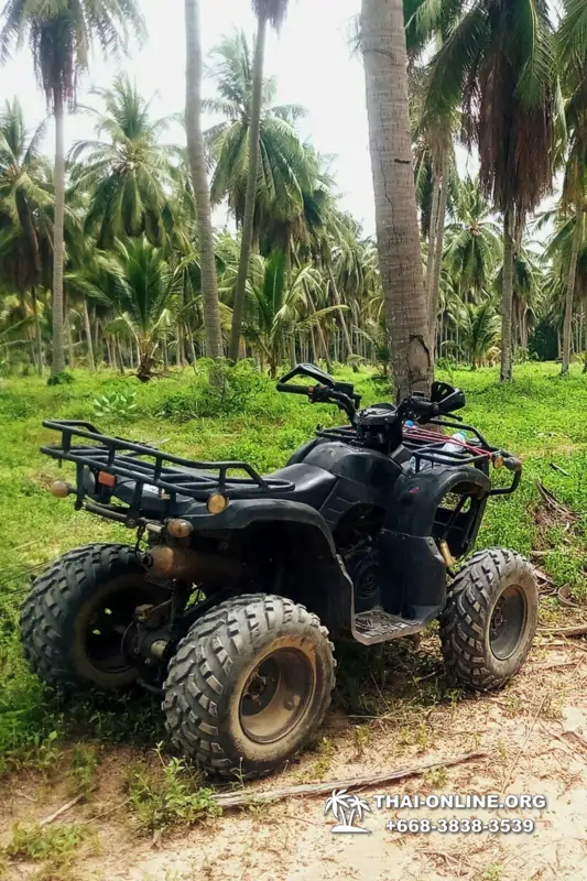 Сафари на квадроциклах Big ATV Pattaya - фото 130