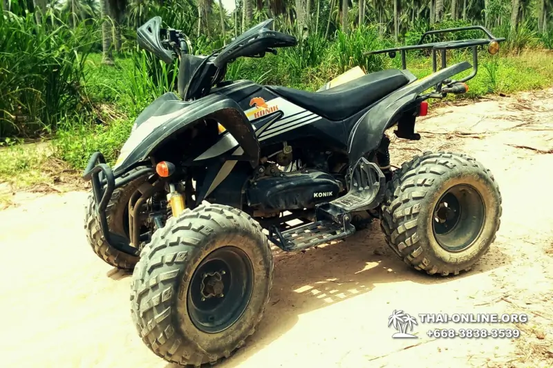 Сафари на квадроциклах Big ATV Pattaya - фото 131