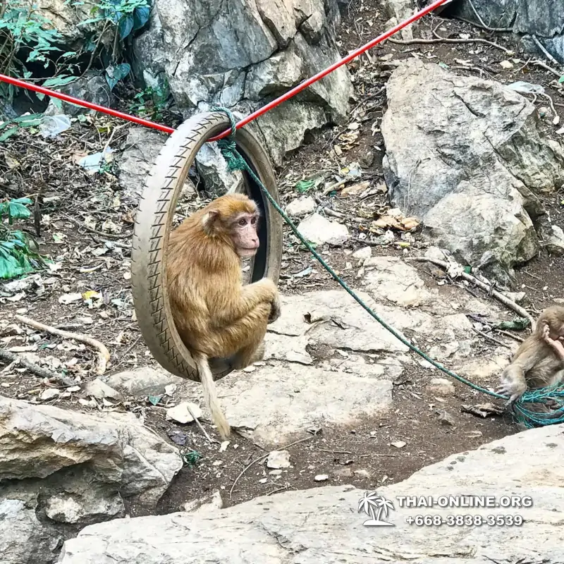 Северное Ожерелье Таиланда поездка в Золотой Треугольник - фото 142