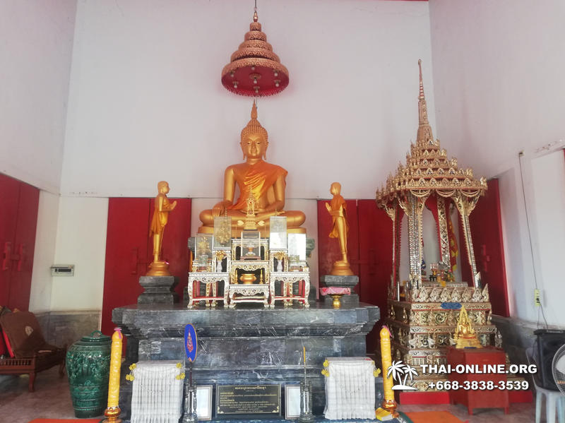 Золотой Мангровый Лес экскурсия туркомпании Magic Thai Online в Паттайе - фото 56