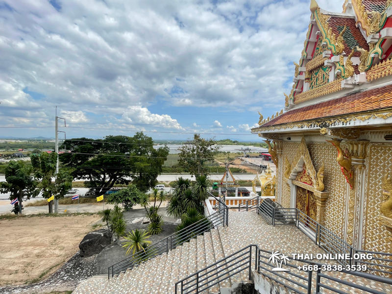 Золотой Мангровый Лес экскурсия туркомпании Magic Thai Online в Паттайе - фото 26