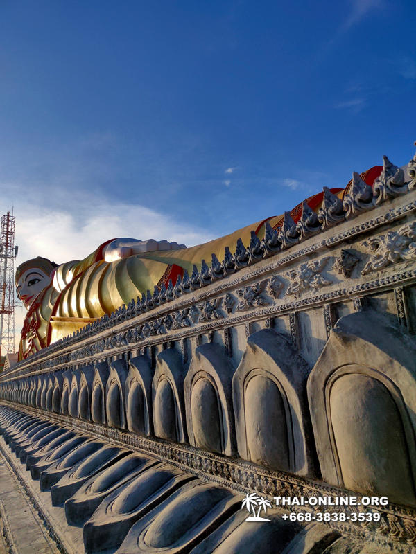 Золотой Мангровый Лес экскурсия туркомпании Magic Thai Online в Паттайе - фото 43