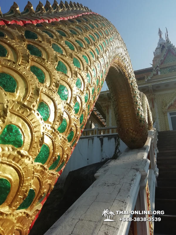 Золотой Мангровый Лес экскурсия туркомпании Magic Thai Online в Паттайе - фото 36