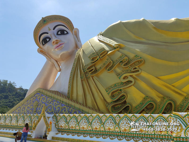 Золотой Мангровый Лес экскурсия туркомпании Magic Thai Online в Паттайе - фото 38