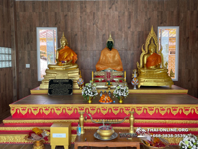 Золотой Мангровый Лес экскурсия туркомпании Magic Thai Online в Паттайе - фото 28