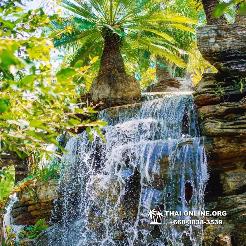 Золотой Мангровый Лес экскурсия туркомпании Magic Thai Online в Паттайе - фото 105