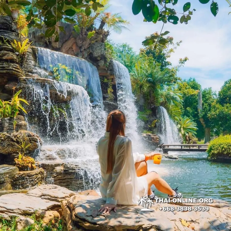 Золотой Мангровый Лес экскурсия туркомпании Magic Thai Online в Паттайе - фото 119