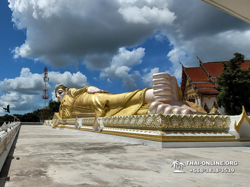 Золотой Мангровый Лес экскурсия туркомпании Magic Thai Online в Паттайе - фото 46