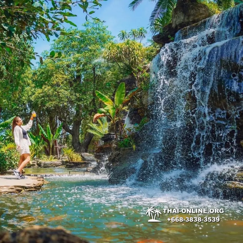 Золотой Мангровый Лес экскурсия туркомпании Magic Thai Online в Паттайе - фото 109