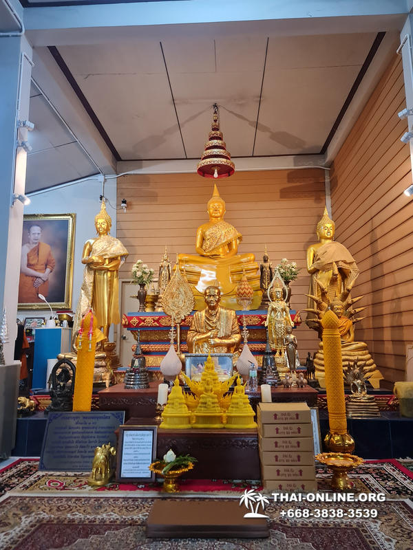 Золотой Мангровый Лес экскурсия туркомпании Magic Thai Online в Паттайе - фото 34