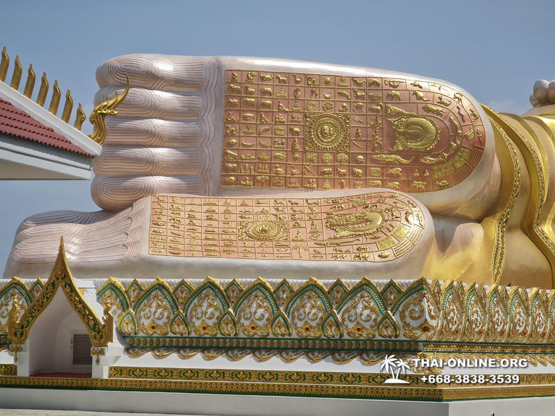 Золотой Мангровый Лес экскурсия туркомпании Magic Thai Online в Паттайе - фото 30