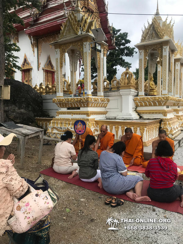 Золотой Мангровый Лес экскурсия туркомпании Magic Thai Online в Паттайе - фото 21