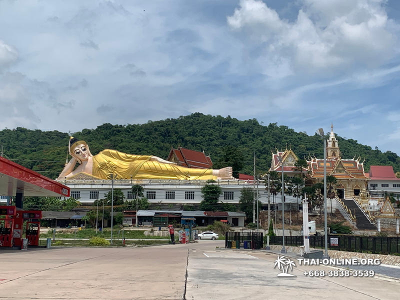 Золотой Мангровый Лес экскурсия туркомпании Magic Thai Online в Паттайе - фото 52