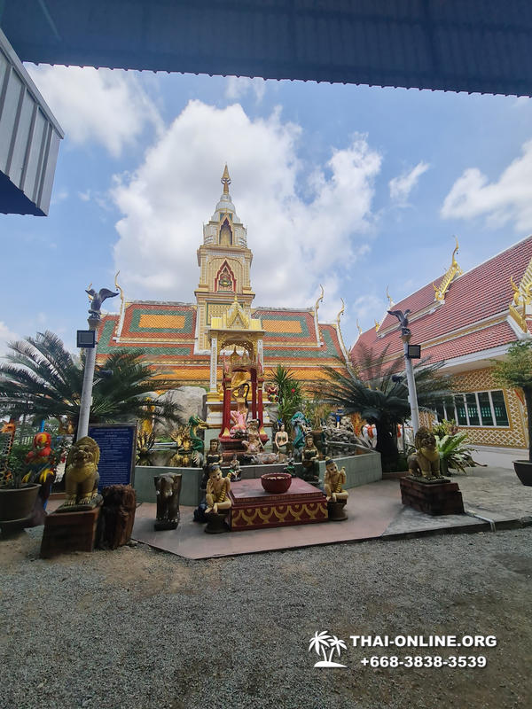 Золотой Мангровый Лес экскурсия туркомпании Magic Thai Online в Паттайе - фото 41