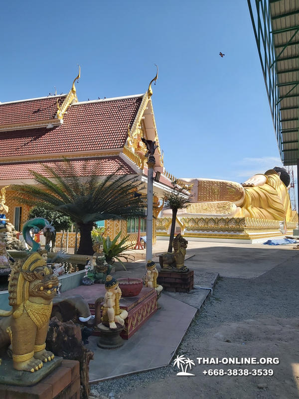Золотой Мангровый Лес экскурсия туркомпании Magic Thai Online в Паттайе - фото 40