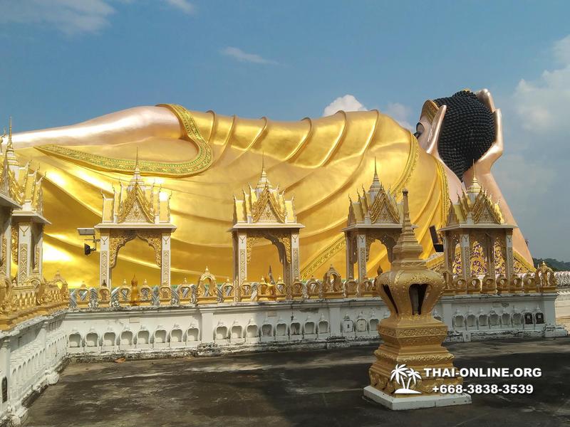 Золотой Мангровый Лес экскурсия туркомпании Magic Thai Online в Паттайе - фото 47