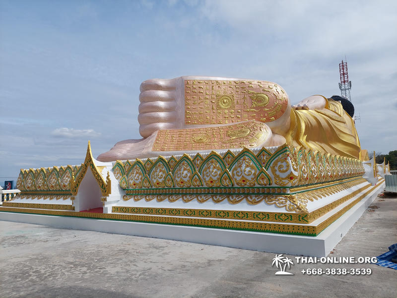 Золотой Мангровый Лес экскурсия туркомпании Magic Thai Online в Паттайе - фото 49