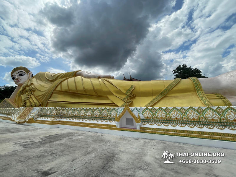 Золотой Мангровый Лес экскурсия туркомпании Magic Thai Online в Паттайе - фото 48