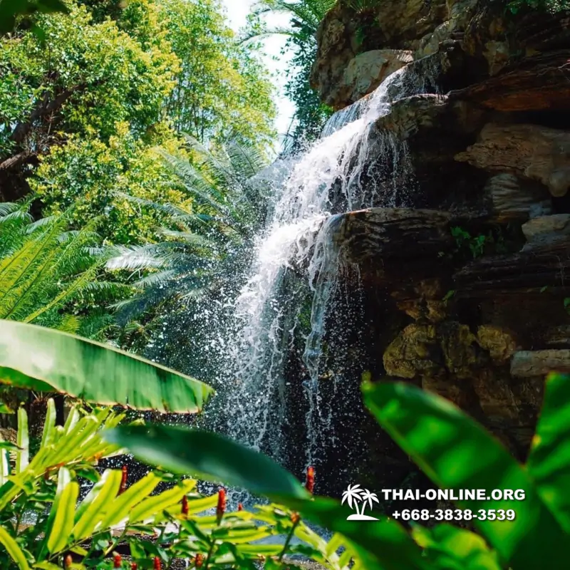 Золотой Мангровый Лес экскурсия туркомпании Magic Thai Online в Паттайе - фото 121