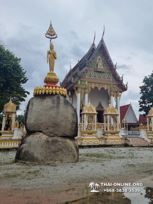 Золотой Мангровый Лес экскурсия туркомпании Magic Thai Online в Паттайе - фото 42