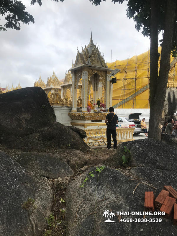 Золотой Мангровый Лес экскурсия туркомпании Magic Thai Online в Паттайе - фото 39