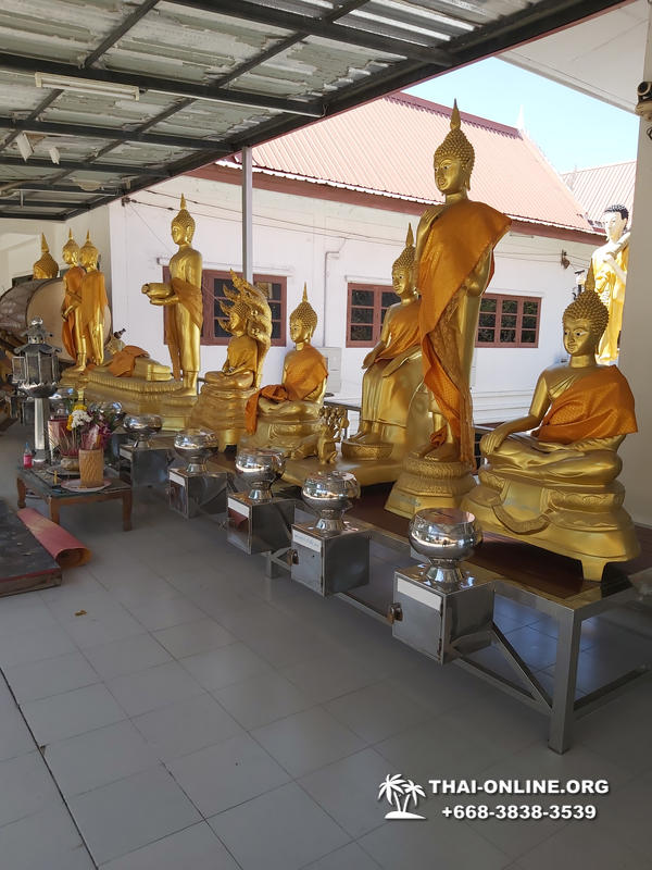 Золотой Мангровый Лес экскурсия туркомпании Magic Thai Online в Паттайе - фото 51