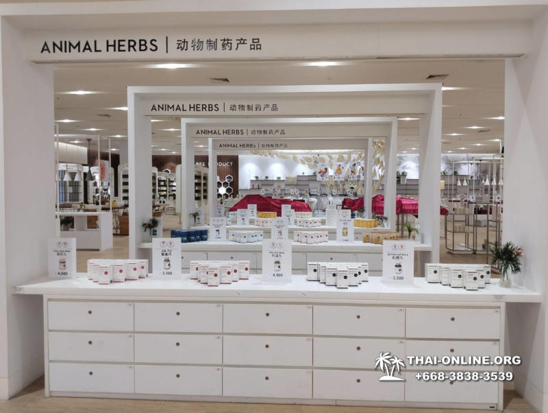 La Galleria салон латекса бесплатное такси в Паттайе Таиланде фото 48