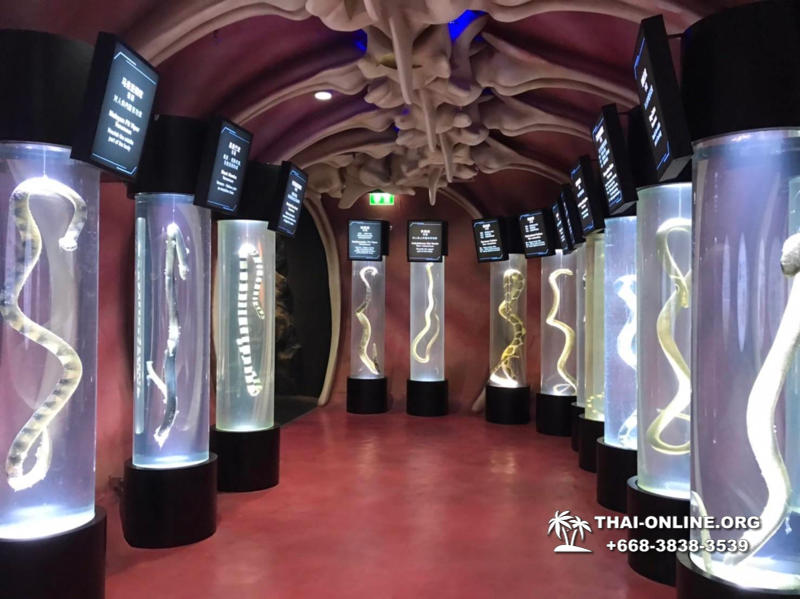 Бесплатный трансфер в магазин латекса La Galleria в Паттайе - фото 32
