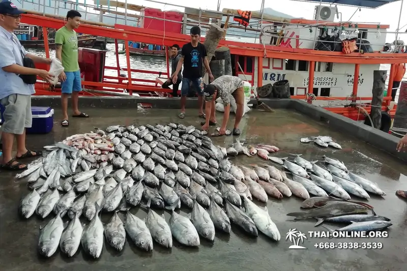 Большая морская рыбалка 7 Countries Паттайя Таиланд Real Fishing 15