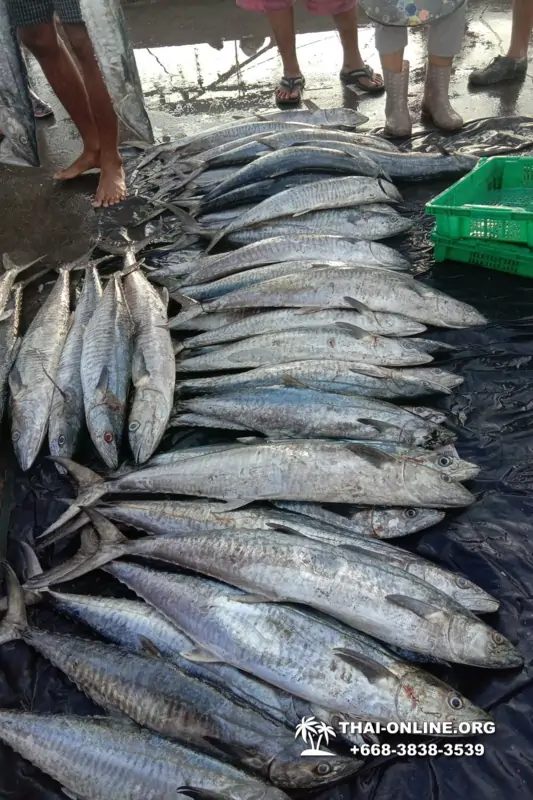 Большая морская рыбалка 7 Countries Паттайя Таиланд Real Fishing 32