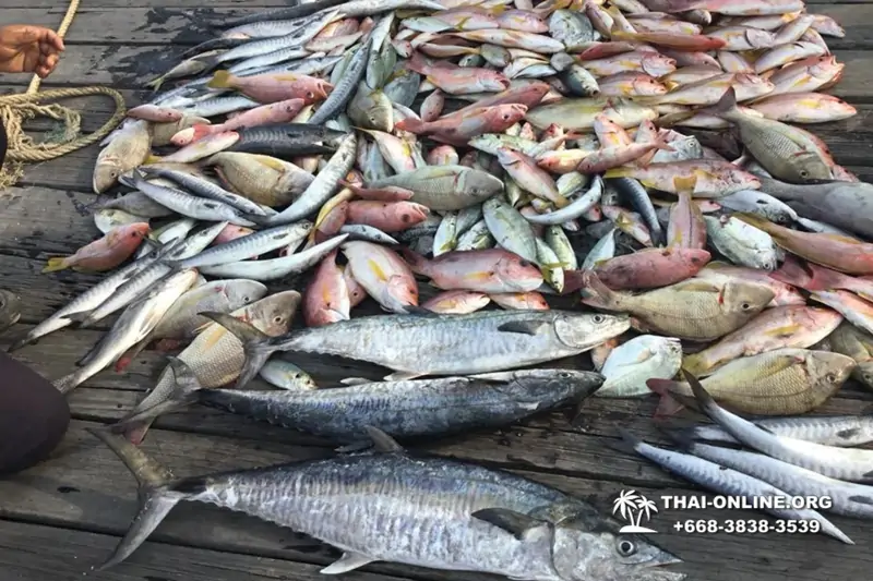 Большая морская рыбалка 7 Countries Паттайя Таиланд Real Fishing 31