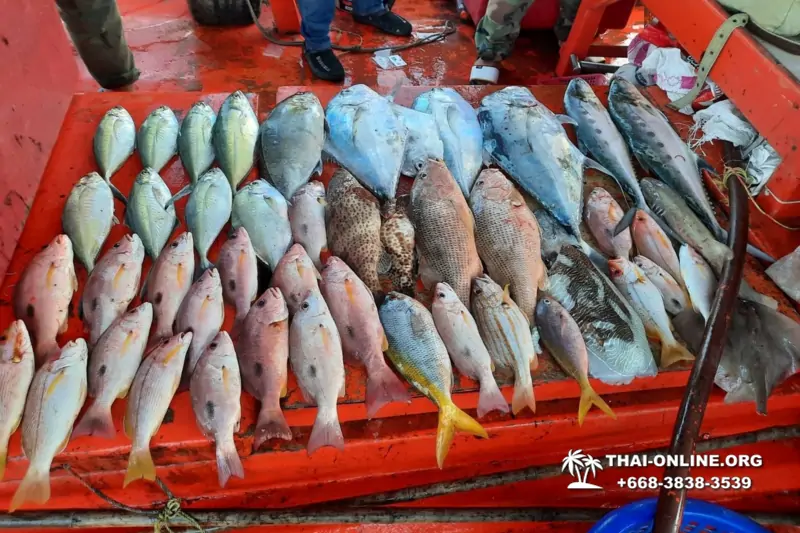 Большая морская рыбалка 7 Countries Паттайя Таиланд Real Fishing 54
