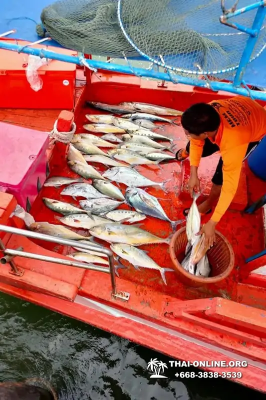 Большая морская рыбалка 7 Countries Паттайя Таиланд Real Fishing 47
