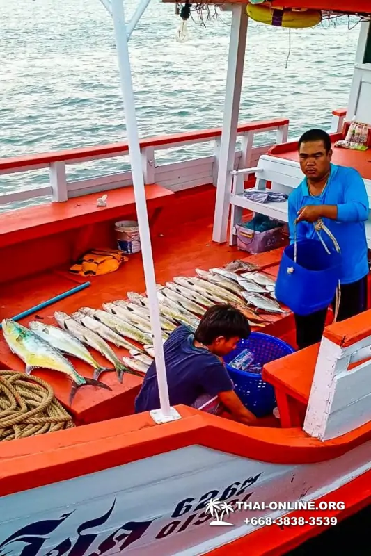 Большая морская рыбалка 7 Countries Паттайя Таиланд Real Fishing 33