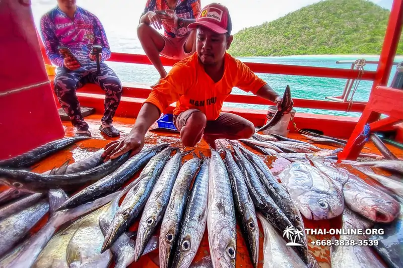 Морская рыбалка на крупную рыбу в Тайланде, экскурсии в Паттайе от компании 7 Стран фото 33