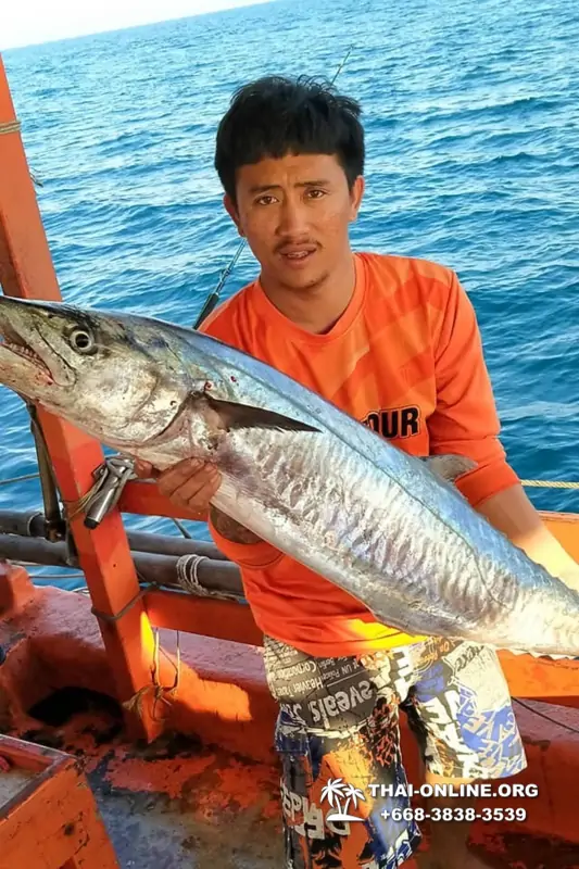 Морская рыбалка на крупную рыбу в Тайланде, экскурсии в Паттайе от компании 7 Стран фото 18