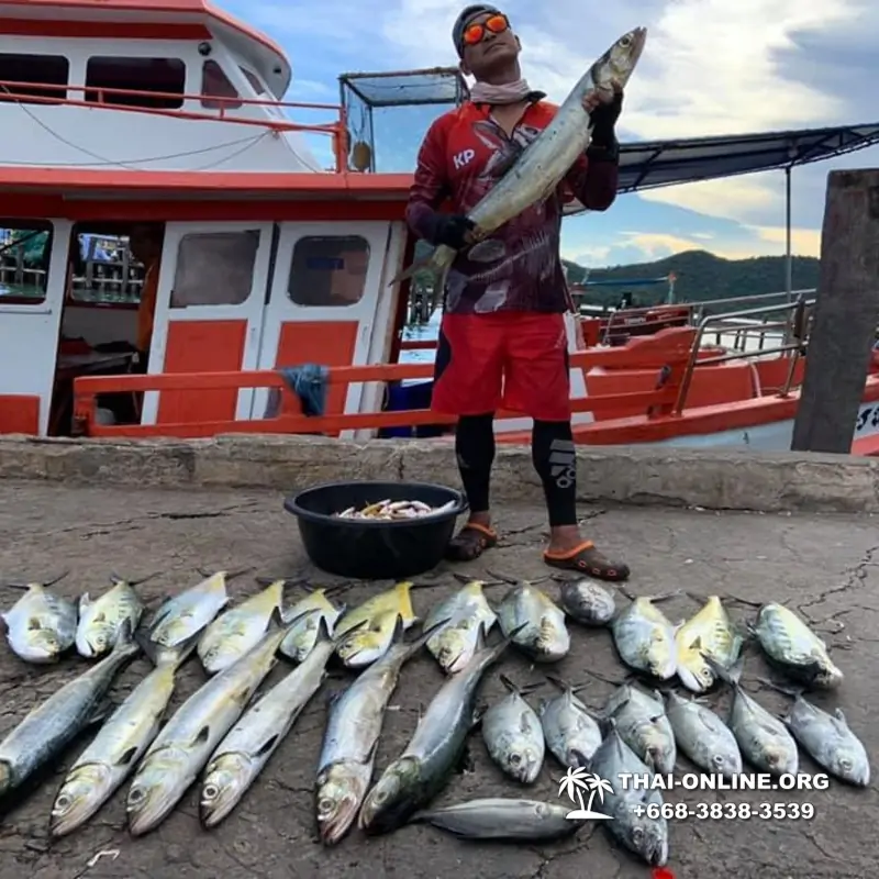 Морская рыбалка на крупную рыбу в Тайланде, экскурсии в Паттайе от компании 7 Стран фото 28