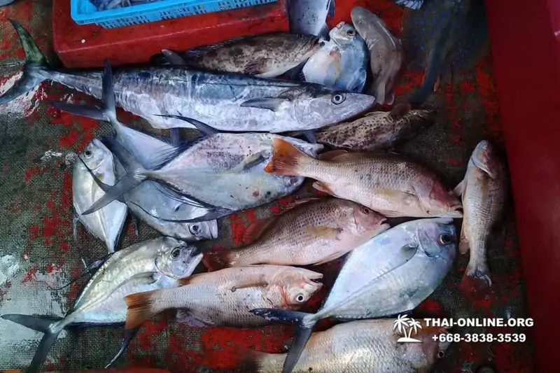 Морская рыбалка на крупную рыбу в Тайланде, экскурсии в Паттайе от компании 7 Стран фото 27
