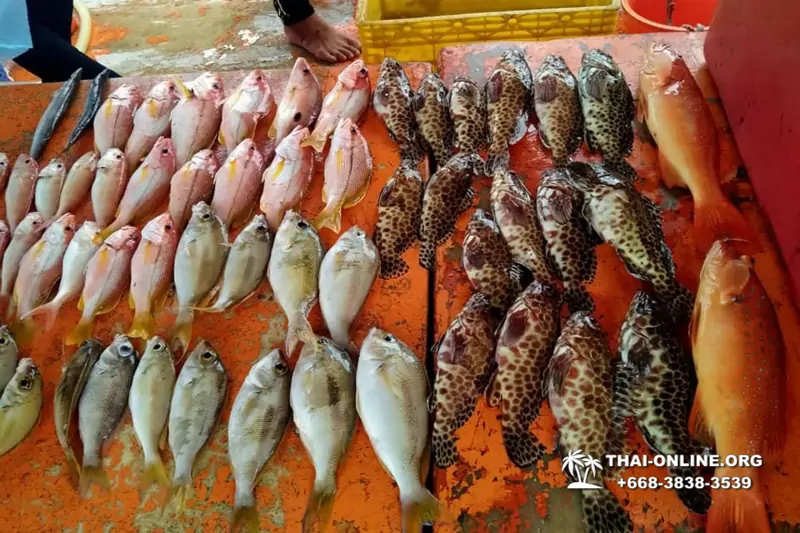 Морская рыбалка на крупную рыбу в Тайланде, экскурсии в Паттайе от компании 7 Стран фото 23