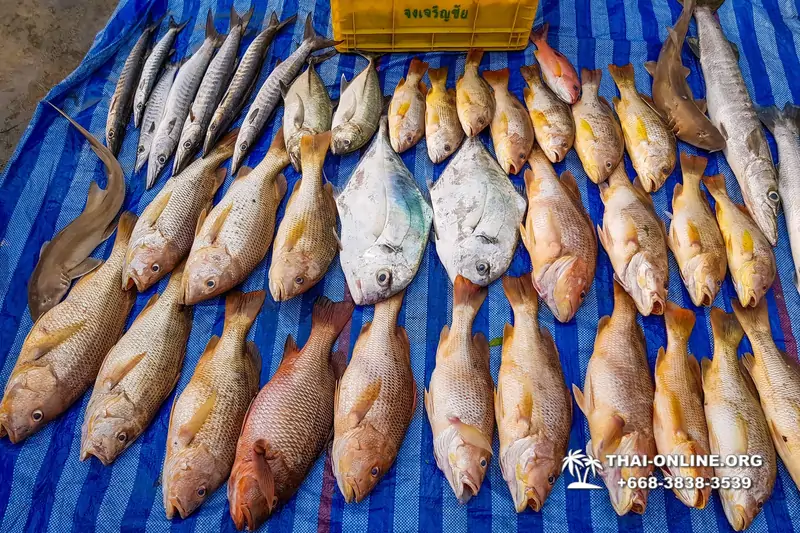 Морская рыбалка на крупную рыбу в Тайланде, экскурсии в Паттайе от компании 7 Стран фото 9