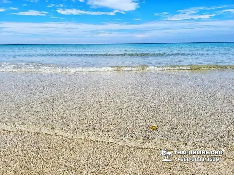 Экскурсия из Паттайи на Ко Чанг с отелем Paradise Hill - фото 104