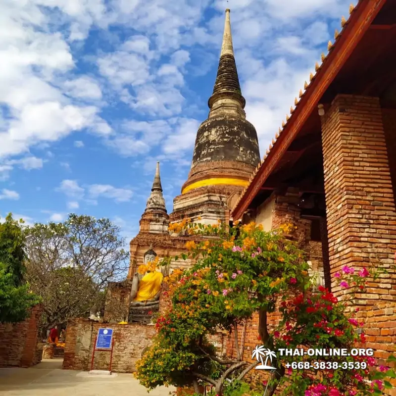 Река Времени экскурсия из Паттайи с туристической компанией Magic Thai Online - фото 40