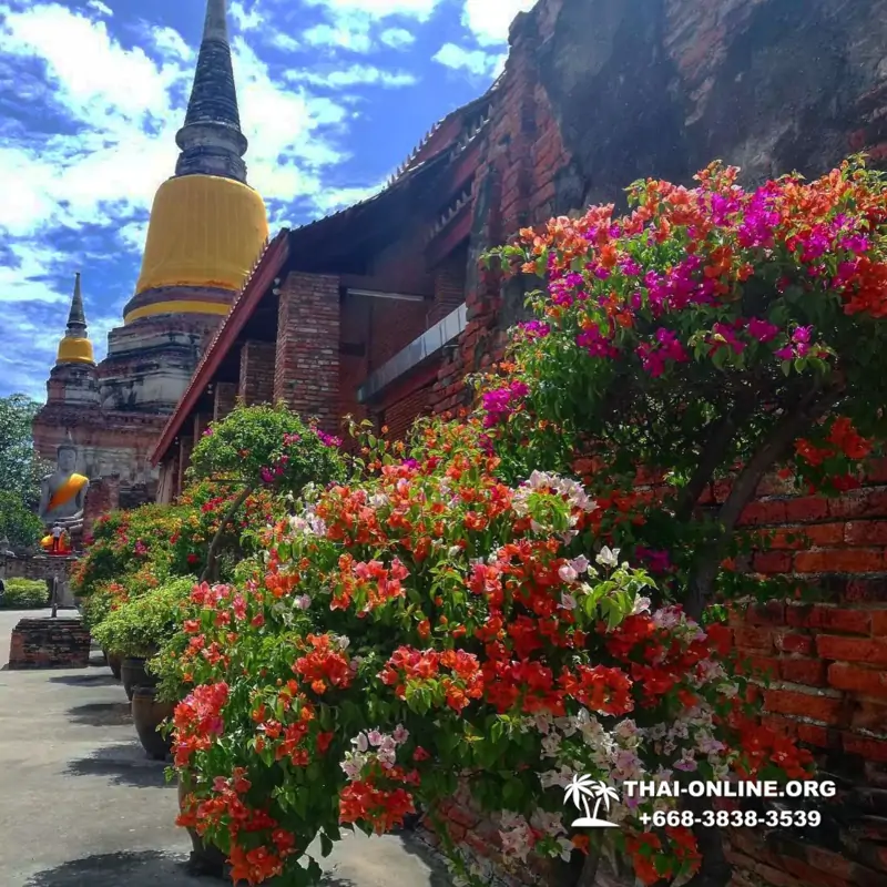 Река Времени экскурсия из Паттайи с туристической компанией Magic Thai Online - фото 33