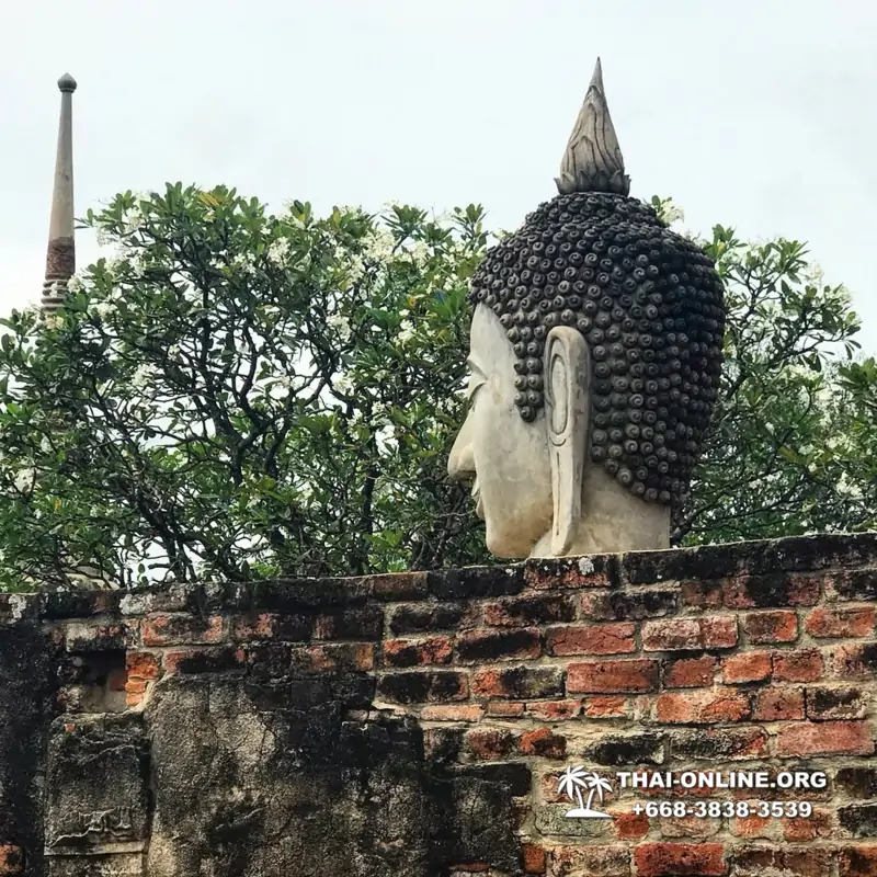 Река Времени экскурсия из Паттайи с туристической компанией Magic Thai Online - фото 18