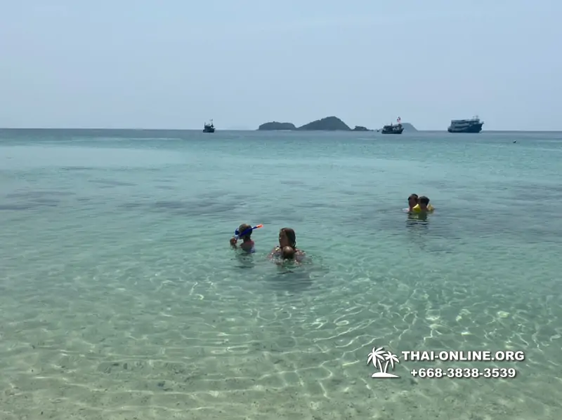 Pattaya Bay Cruise экскурсия на острова фото 127